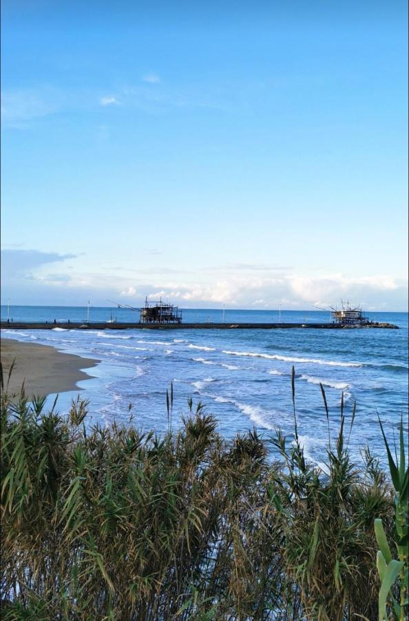 Magnolia Casa Di Campagna Costa Dei Trabocchi Рока Сан Джовани Екстериор снимка