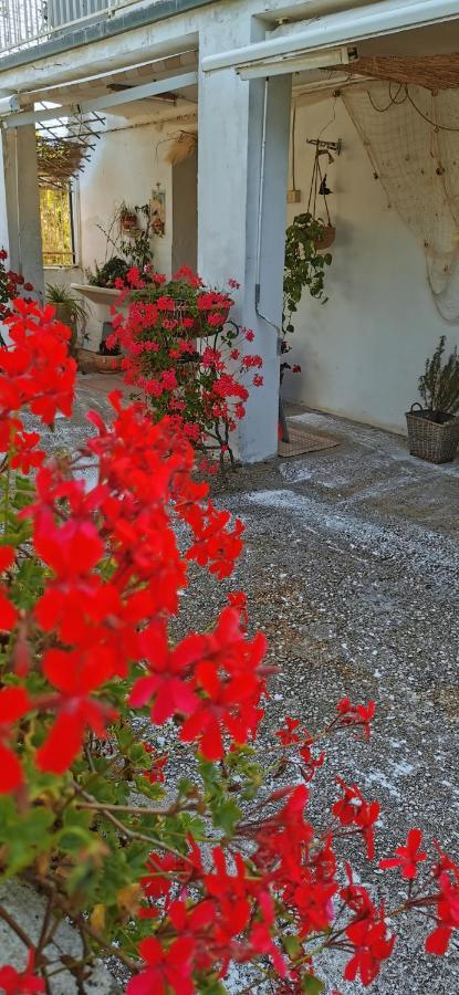 Magnolia Casa Di Campagna Costa Dei Trabocchi Рока Сан Джовани Екстериор снимка
