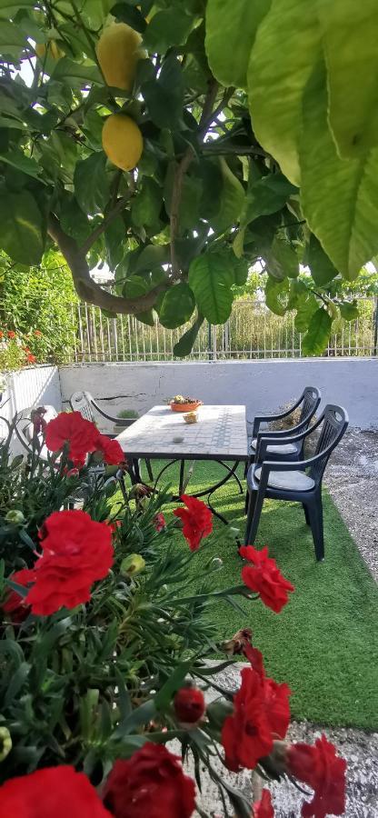 Magnolia Casa Di Campagna Costa Dei Trabocchi Рока Сан Джовани Екстериор снимка
