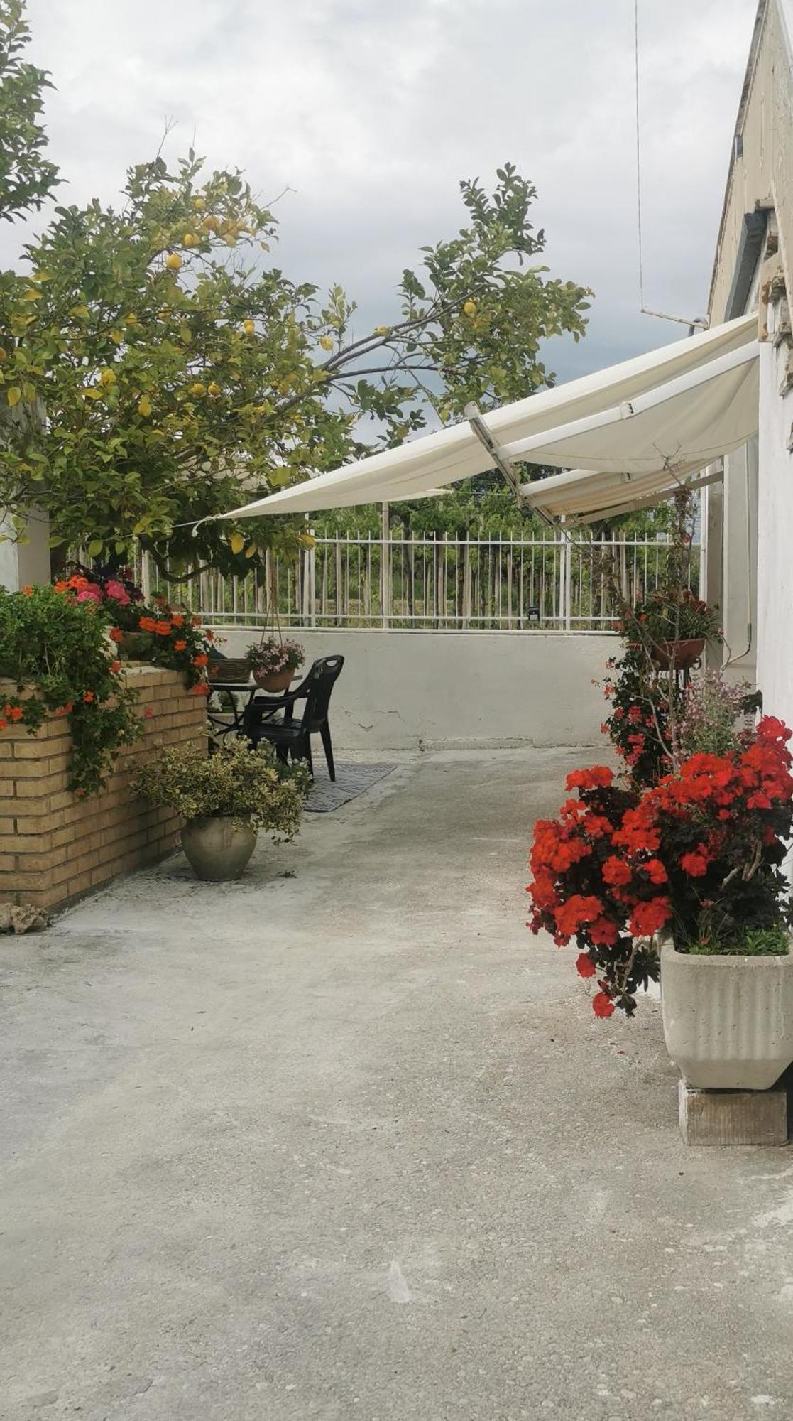 Magnolia Casa Di Campagna Costa Dei Trabocchi Рока Сан Джовани Екстериор снимка